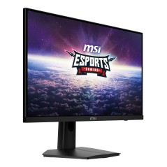 MSI G244F E2 24 Fast IPS 1920 x 1080 (Full HD) HDMI DisplayPort 180Hz